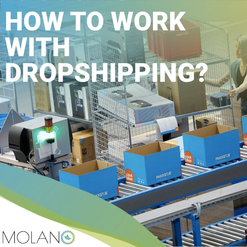 How to work with Dropshipping?