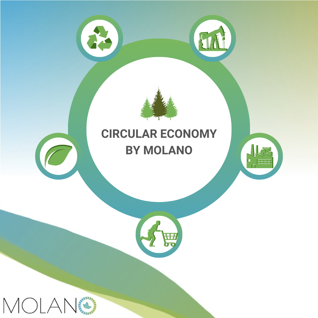 Circular Economy by Molano