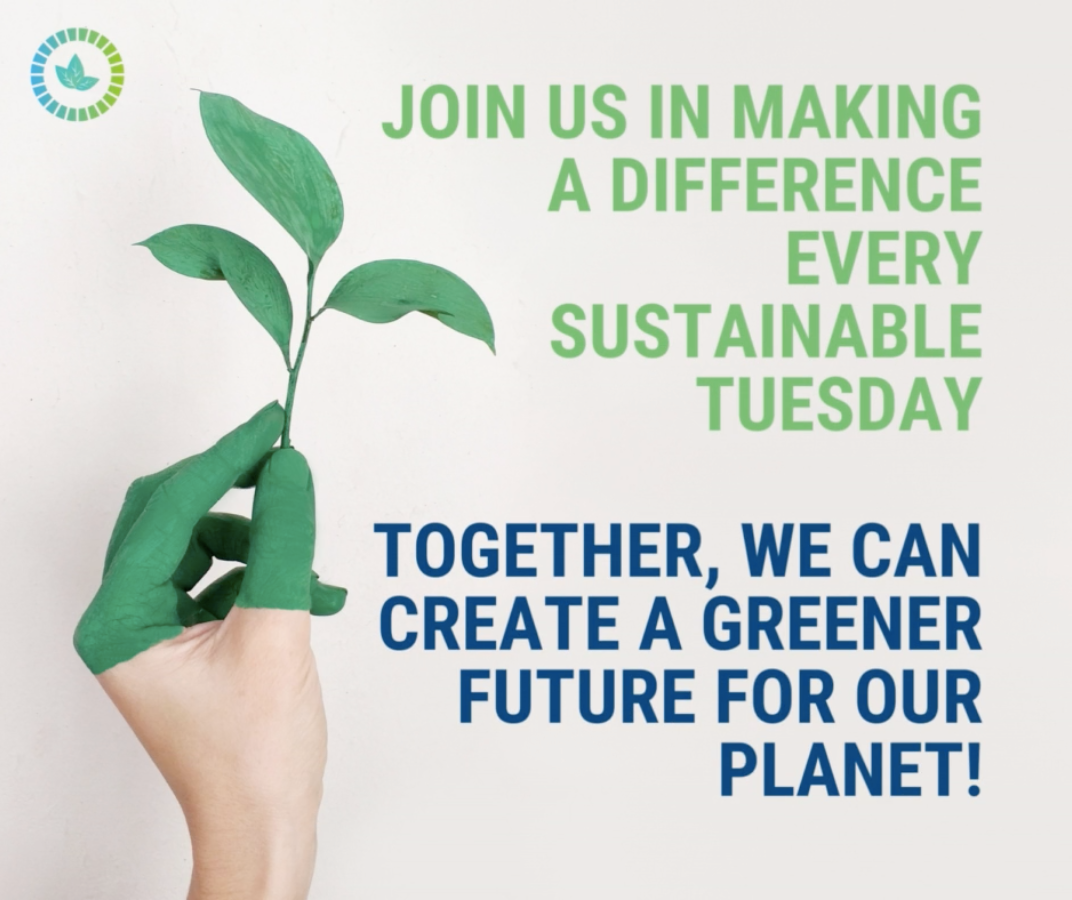 Duurzame dinsdag Molano - Sustainable Tuesday