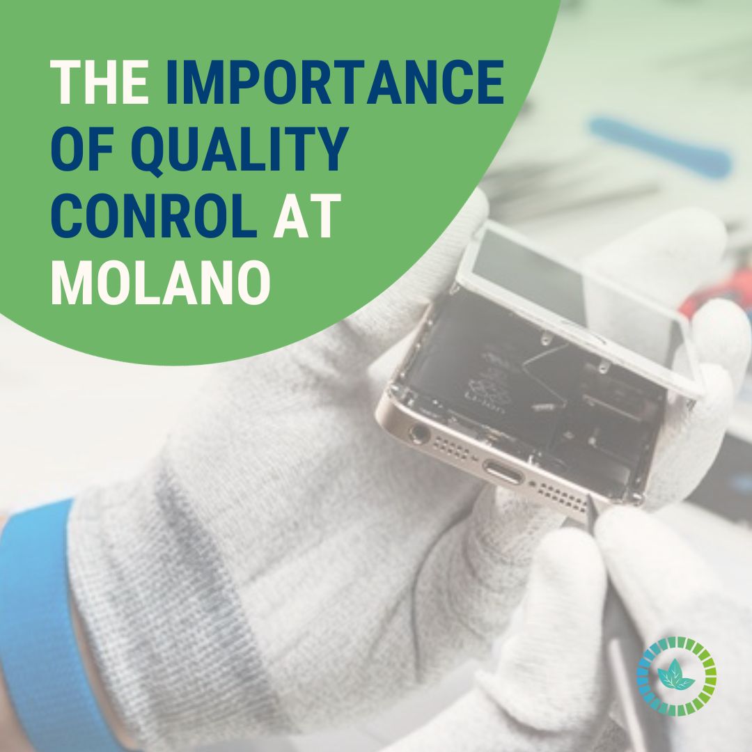 The importance of quality control at Molano