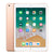 iPad 9.7" 6th Generation 32GB